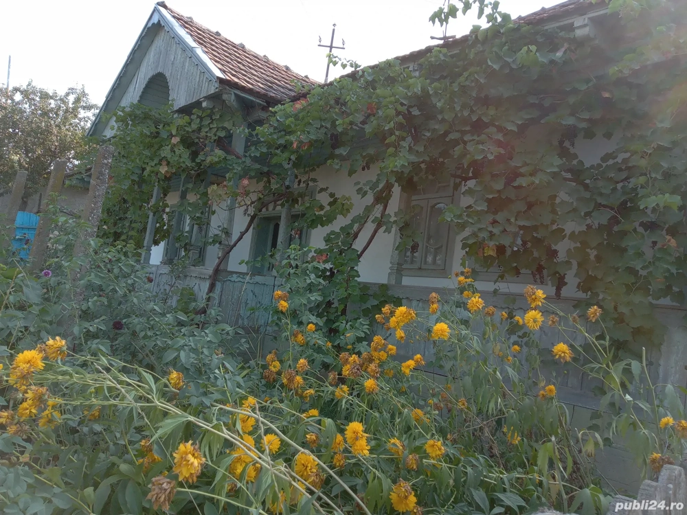 Vand casa Rebricea Jud Vaslui