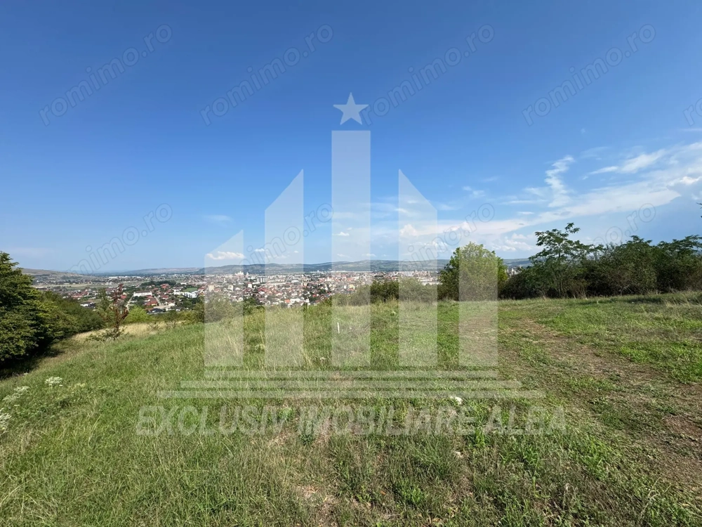 Teren intravilan de vanzare, Podei