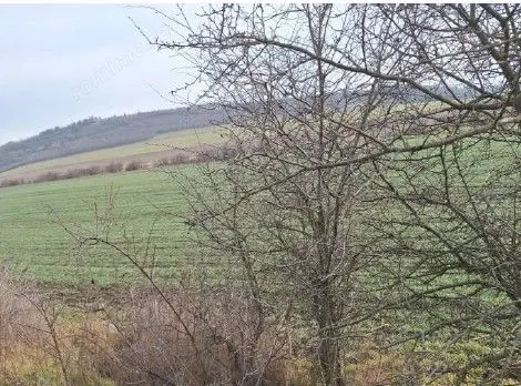 Teren cota parte 1/12 Deleni, ID: R2662164