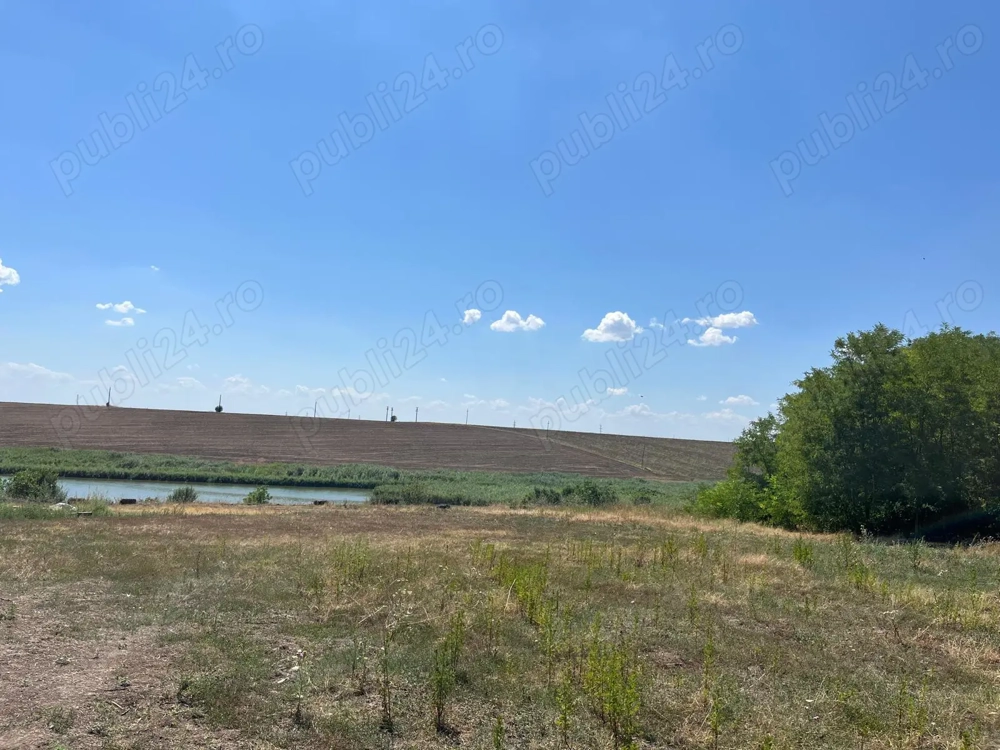 Teren langa Balta Mostistea | FRASINET | Com Ostrovu Jud Calarasi Teren langa Balta Mostistea | FRASINET | Com Ostrovu Jud Calarasi