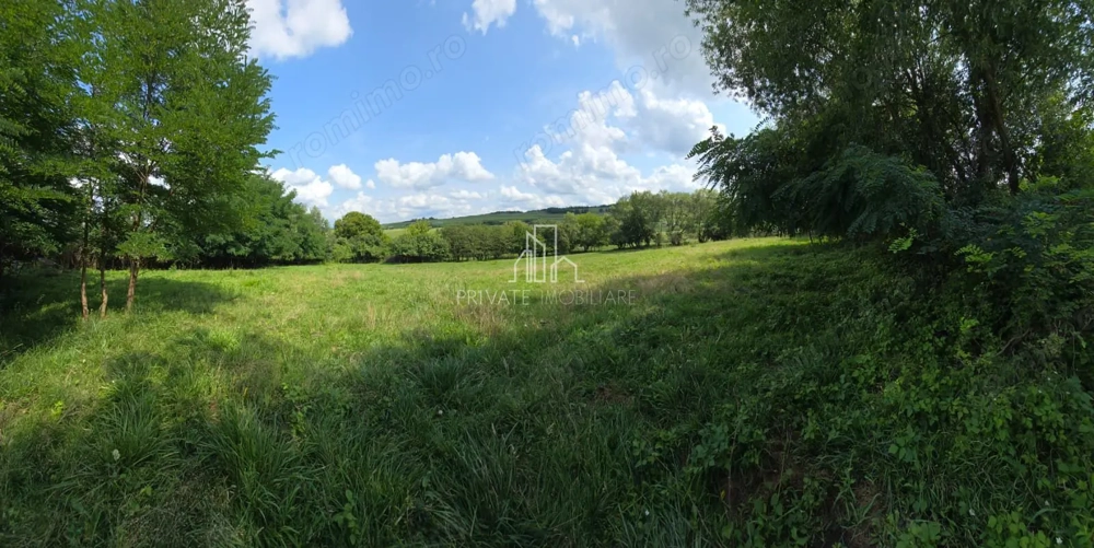 Teren, Albești, str Podului