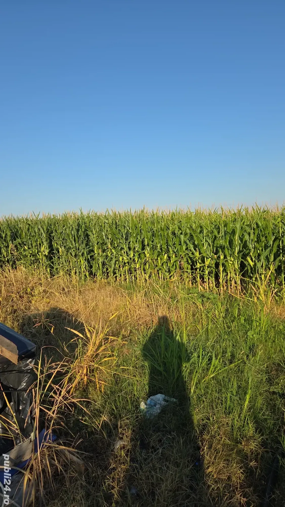 Arendez teren agricol Arendez teren agricol