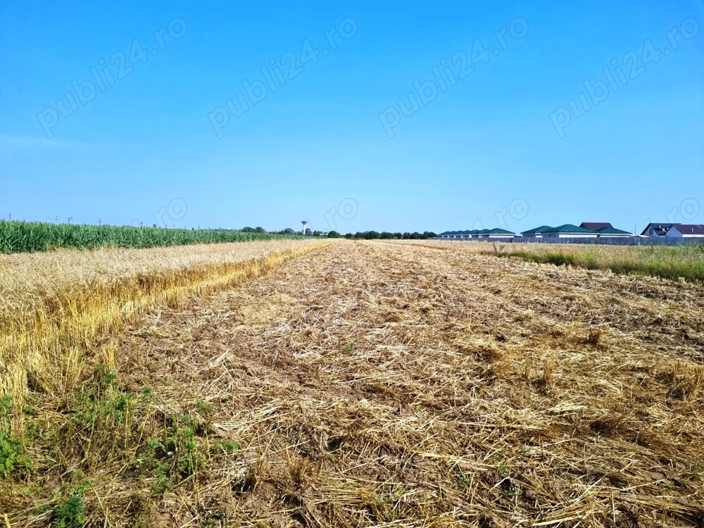 Vanzare Teren Rezidential 5000MP Magurele 