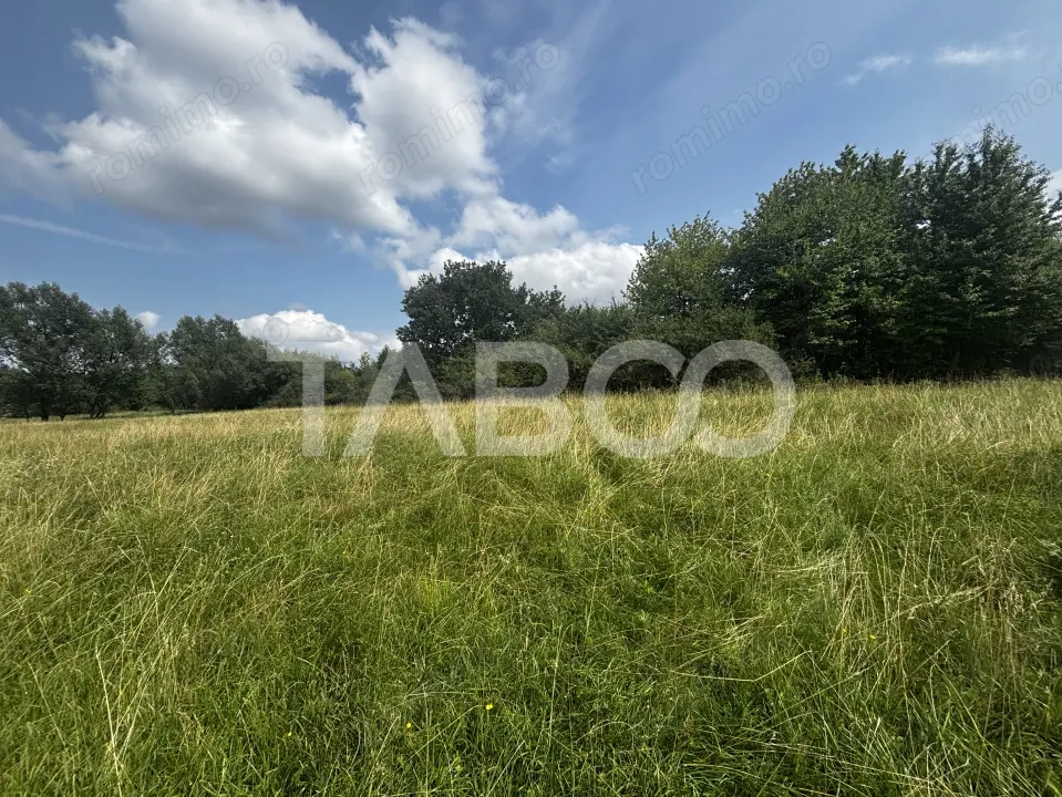 Teren intravilan 3100mp parcelat in 1000mp si 2100mp Cisnadie