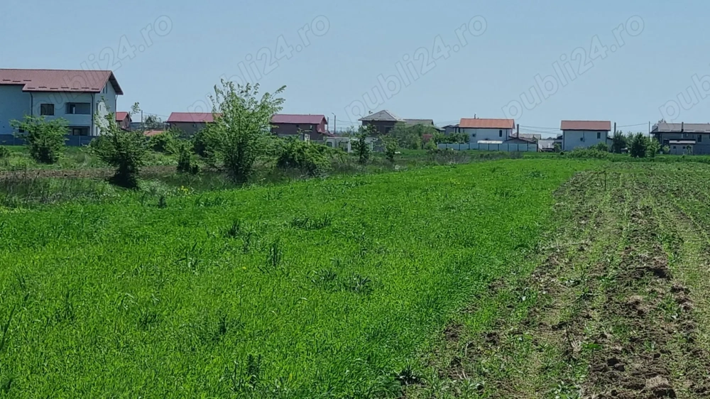 Vand teren langa padure Vand teren langa padure