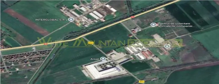 Pecica, jud Arad, 6ha teren de vanzare