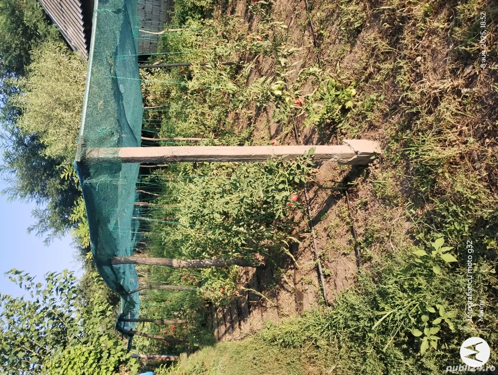 Teren De Vanzare  Teren De Vanzare