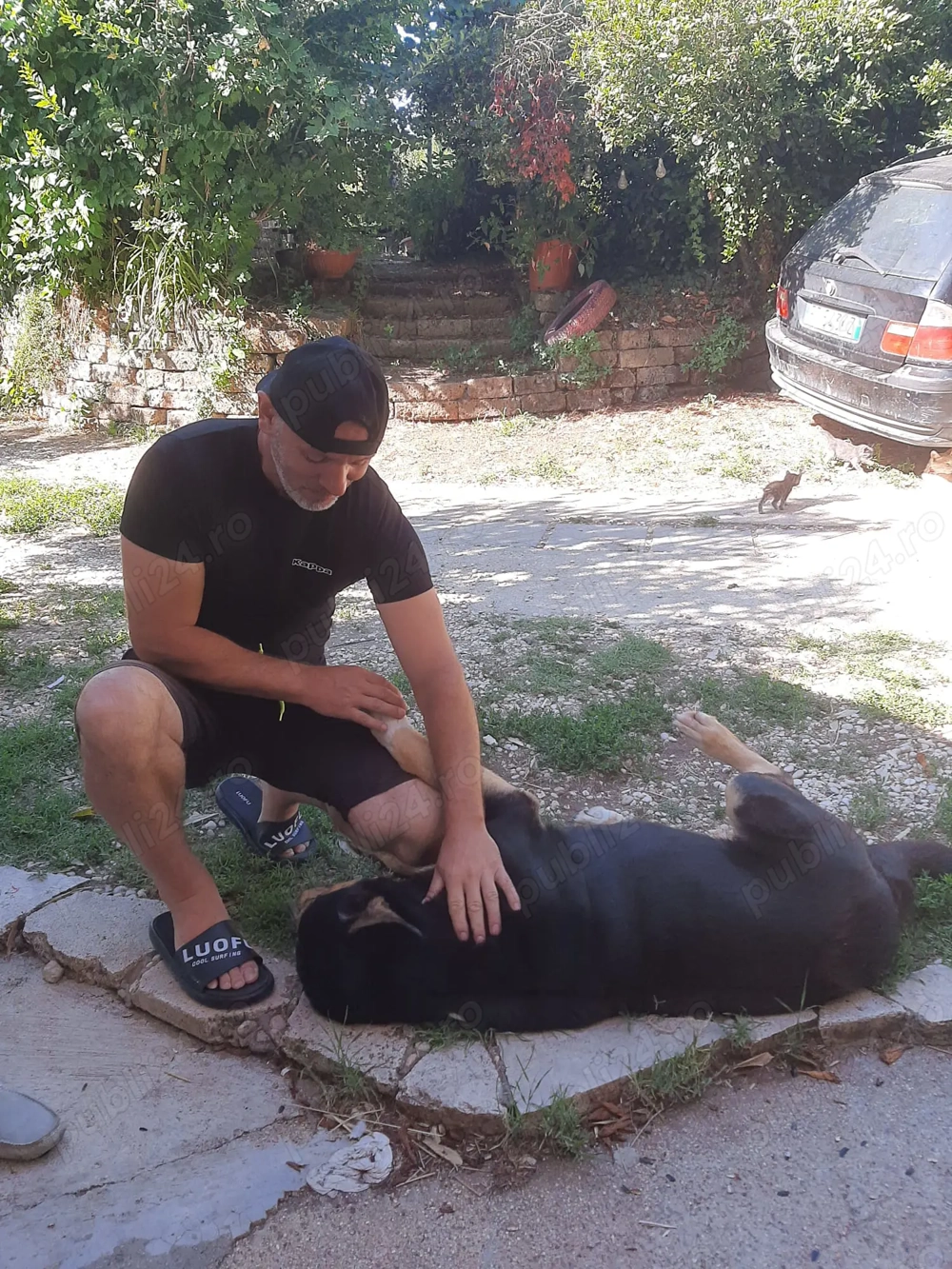 Caut ca șofer sa ma angajez am B Caut ca șofer sa ma angajez am B