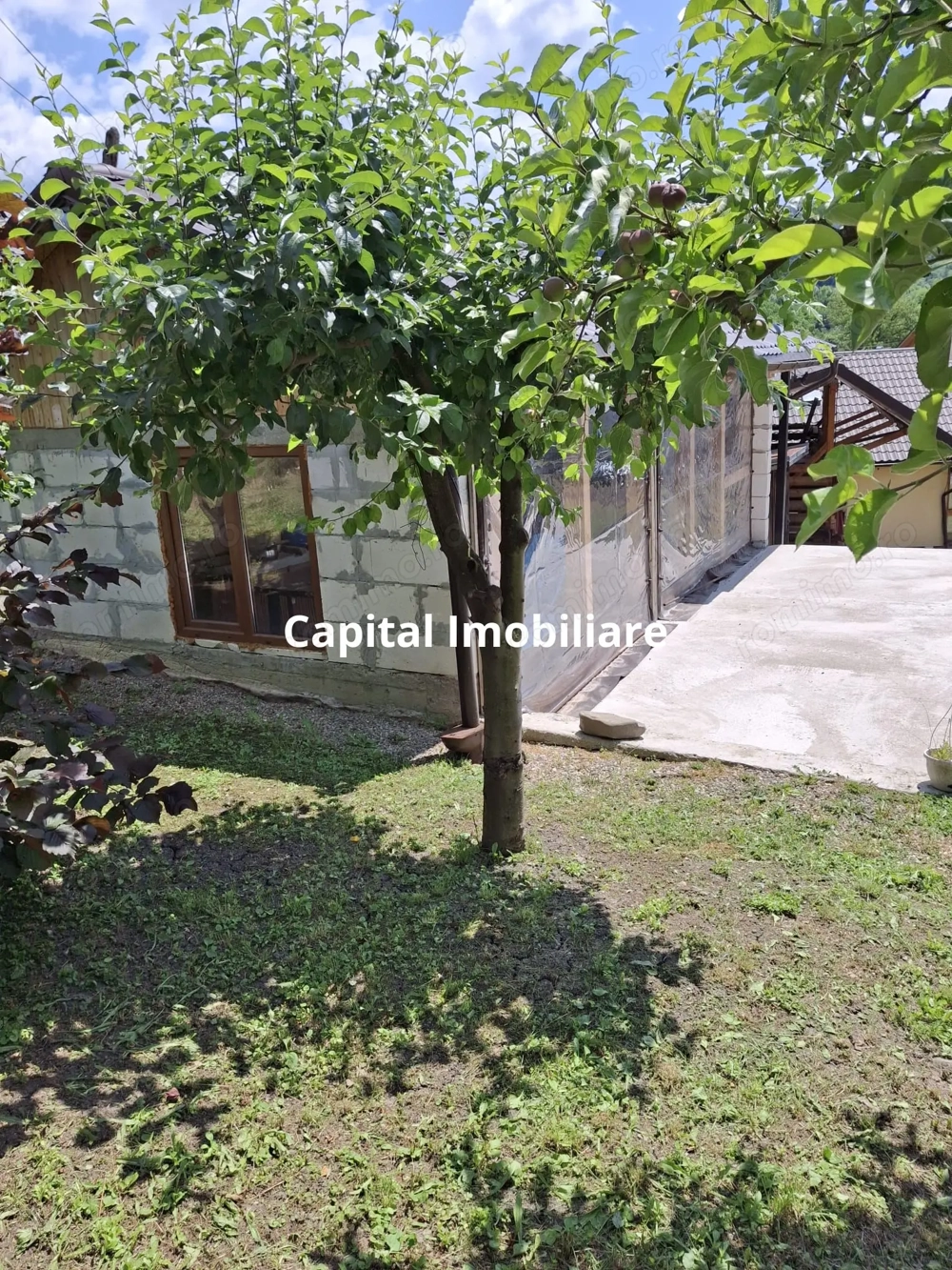 Casă 3 dormitoare la rosu Drajna