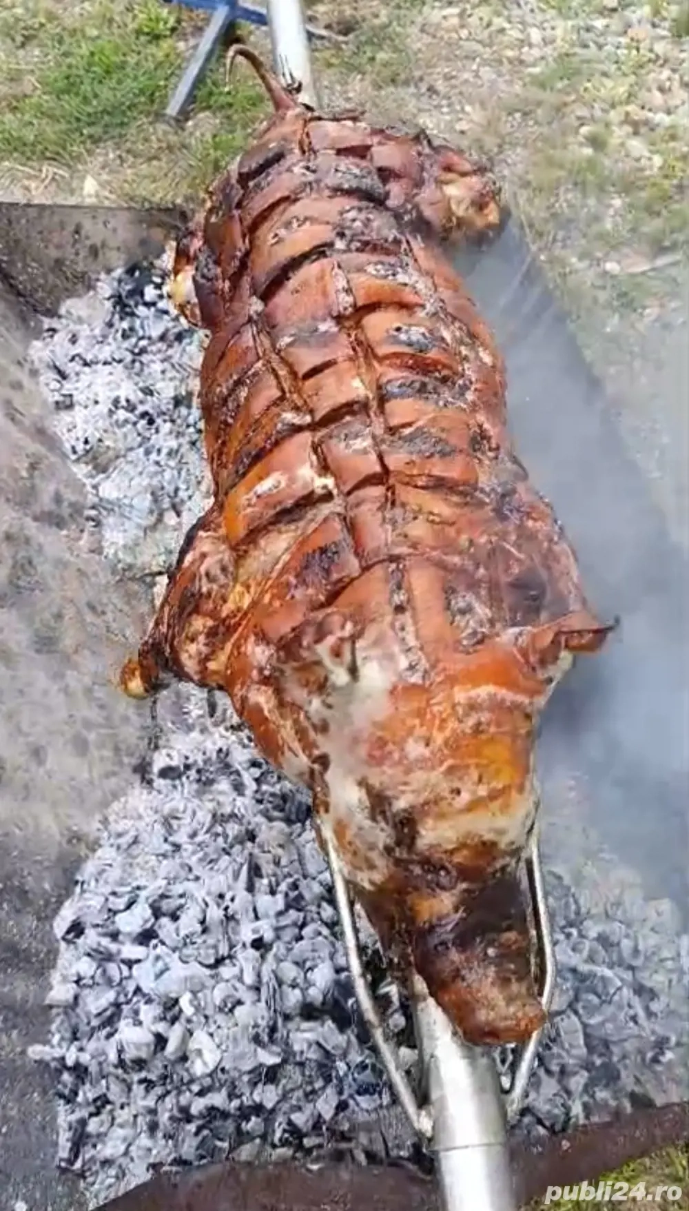 porc la protap cu condimente si protap de inchiriat