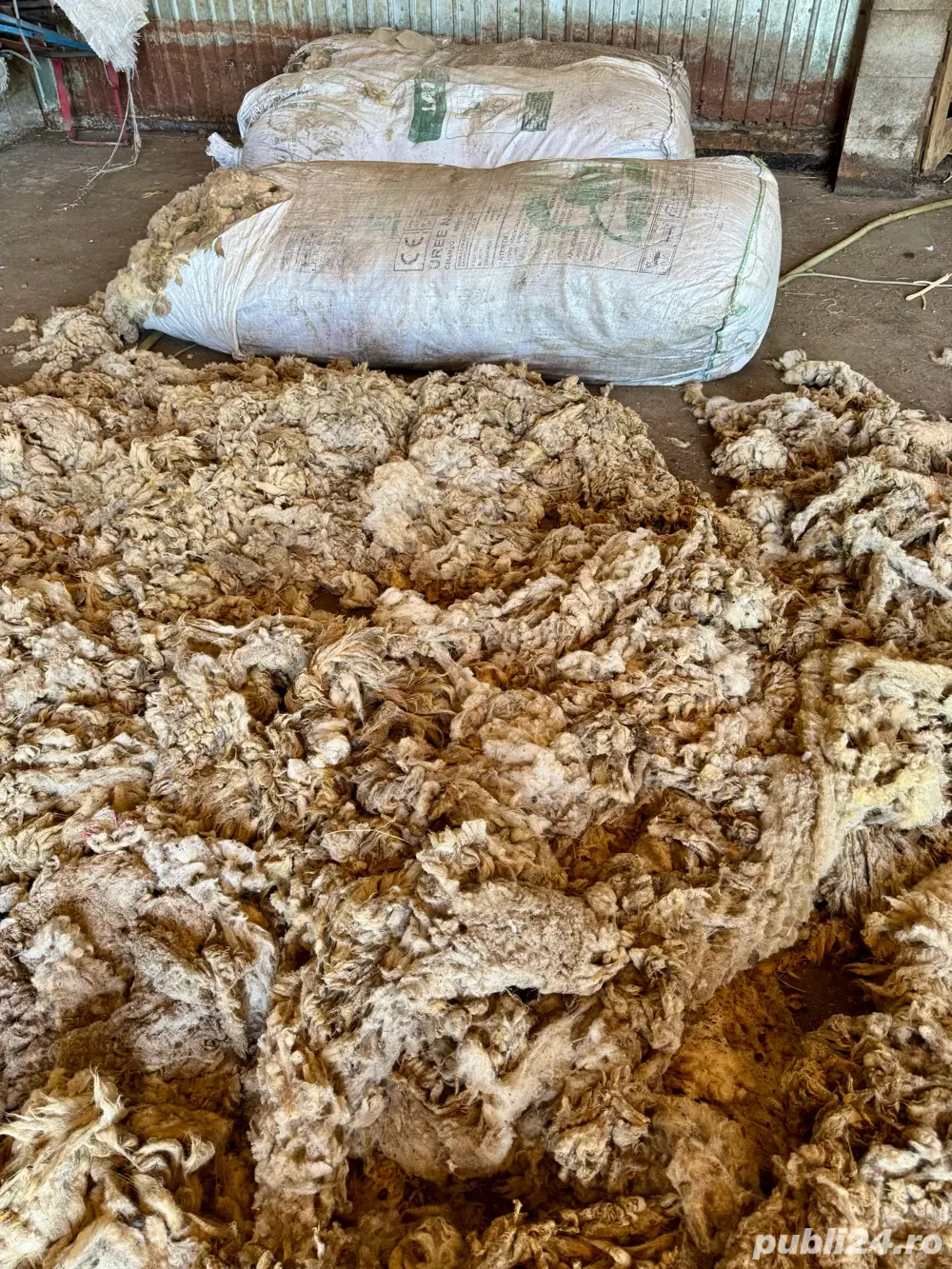 lana de oaie lana de oaie