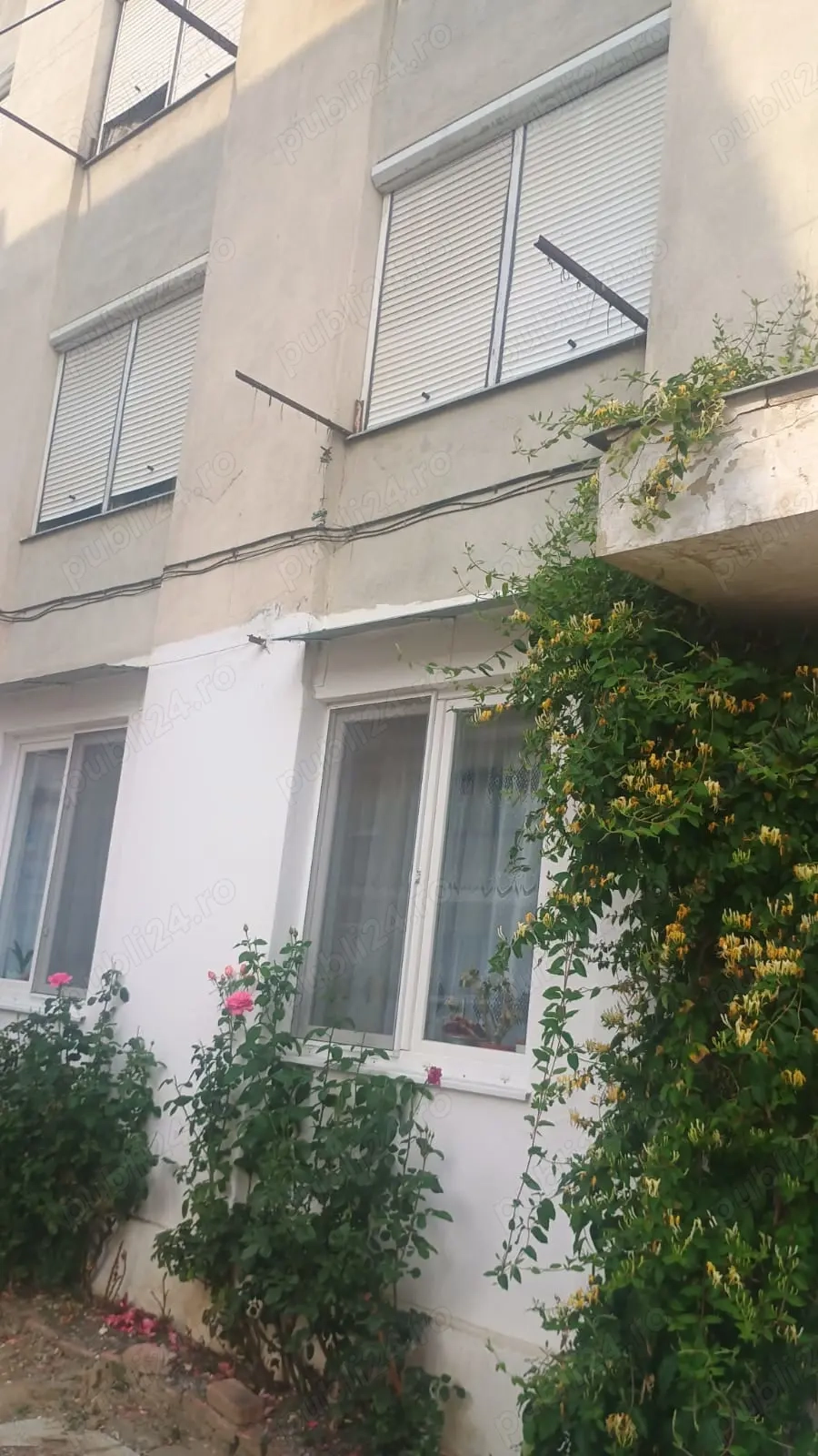 Vând Apartament Agnita Sibiu Vând Apartament Agnita Sibiu