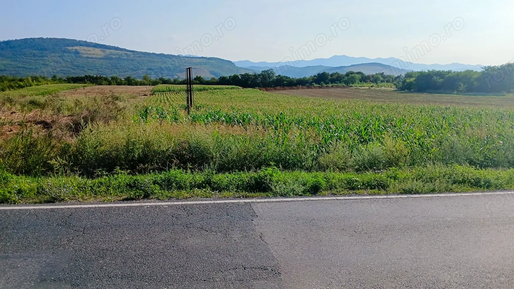 Teren extravilan 8.053 mp (cu iesire la Raul Mures) in Satul Mintia din Comuna Vetel, Jud. Hunedoara