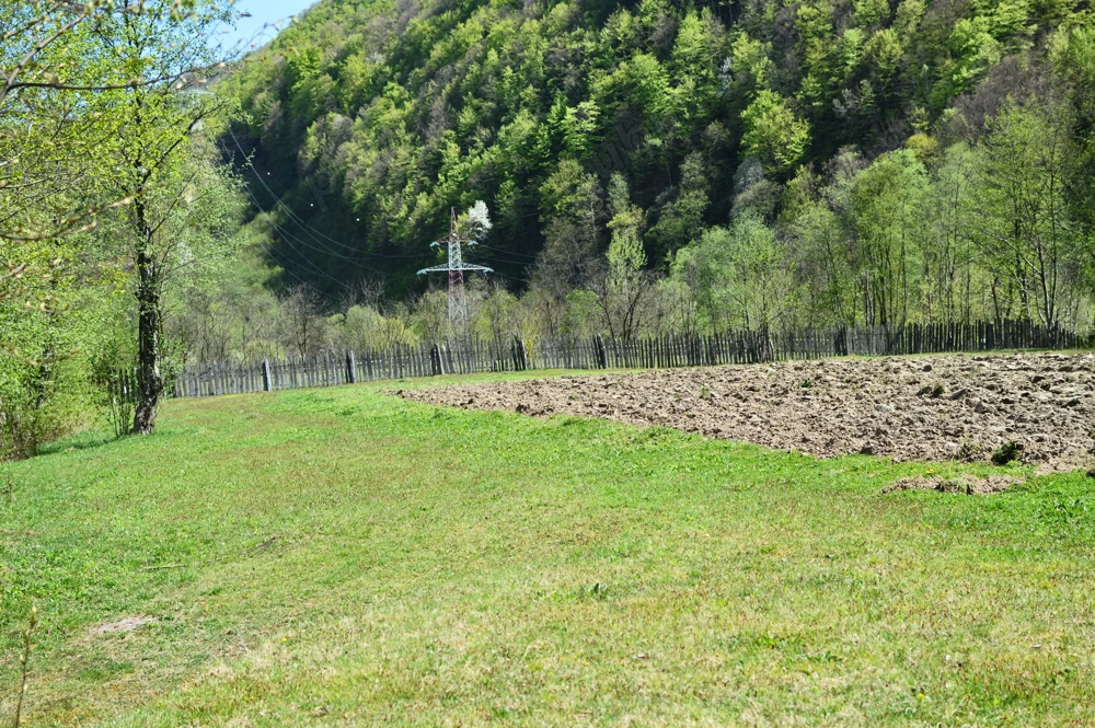 teren de vanzare teren de vanzare