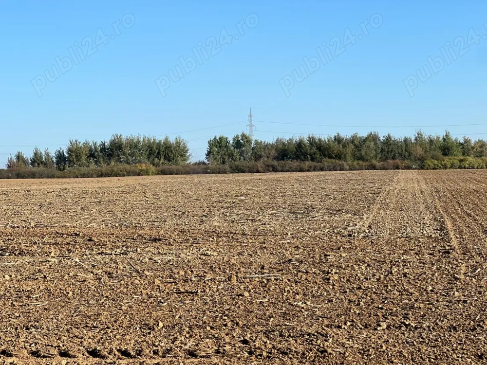 Teren extravilan 15500 mp | Mosnita Noua 