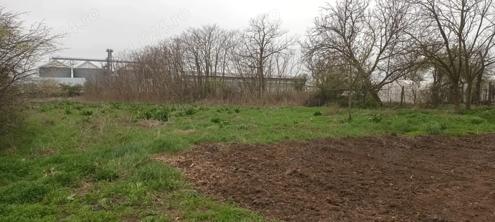 Teren intravilan arabil 3846 mp, Topraisar.Zona buna,sub pretul pietei. Pt locuinte sau orice. 