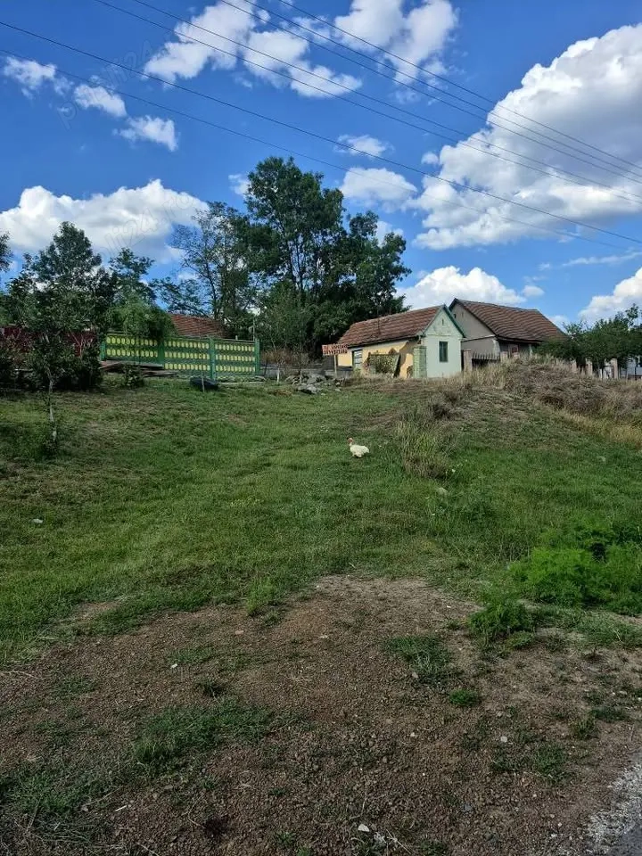 Teren Stanciova cu fundatie, casuta mica + șură din lemn si lut - 1182mp