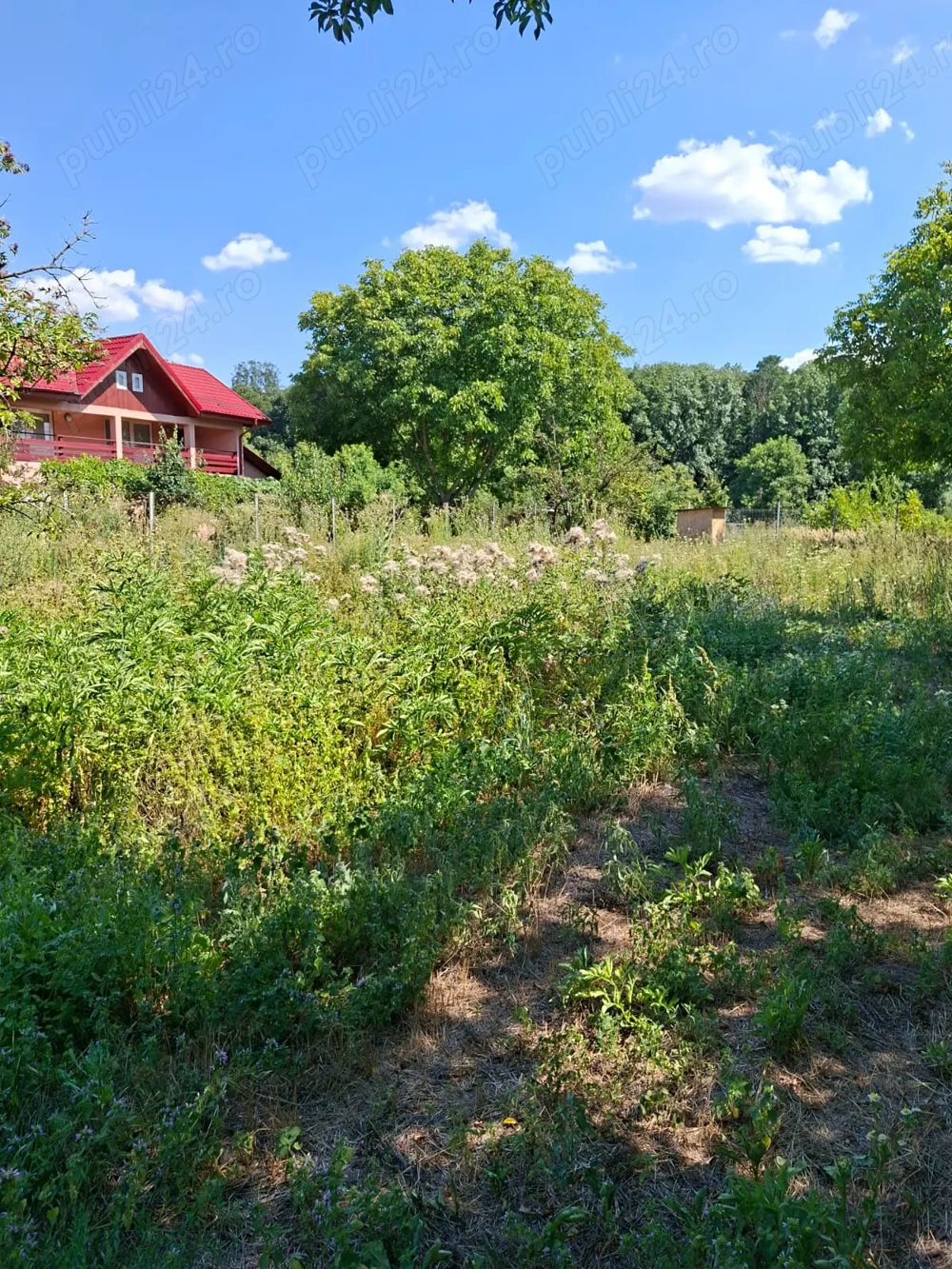 Vând teren intravilan Snagov