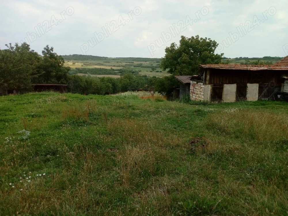 Teren intravilan, in Criseni, cu utilitati 