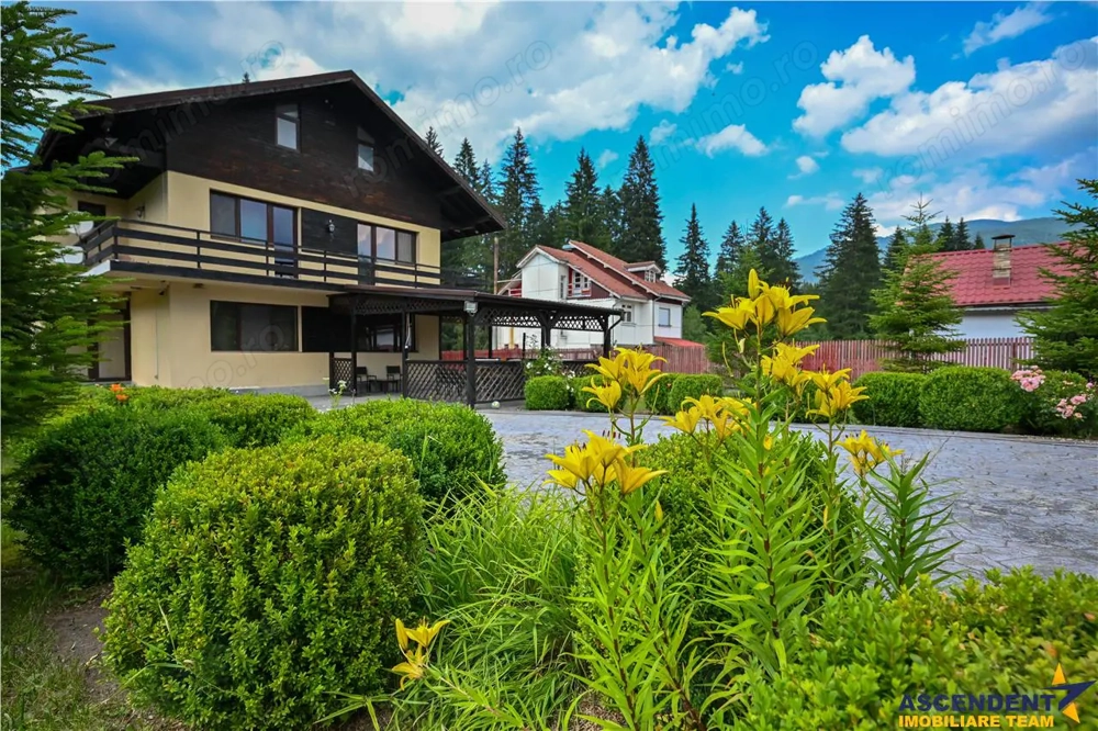 FILM!Refugiu elegant,cadru natural rar, vecinatati discrete,1.700 mp domeniu verde,Timisul de Sus:Po FILM!Refugiu elegant,cadru natural rar, vecinatati discrete,1.700 mp domeniu verde,Timisul de Sus:Po