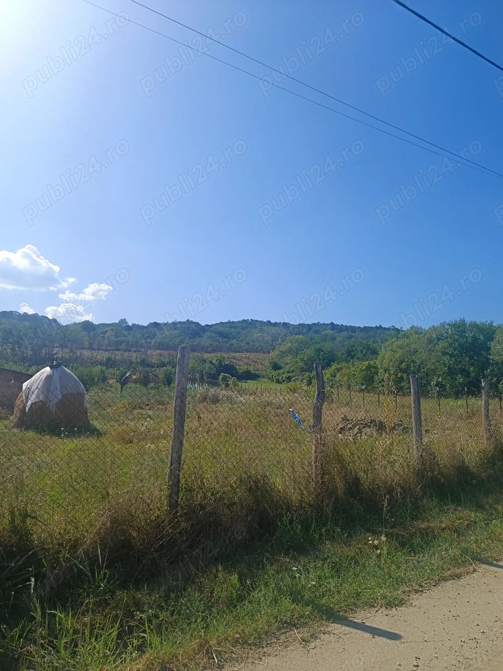 Teren intravilant premium 3.500 mp   Ionesti, toate utilitățile, solarii și pomi fructiferi 