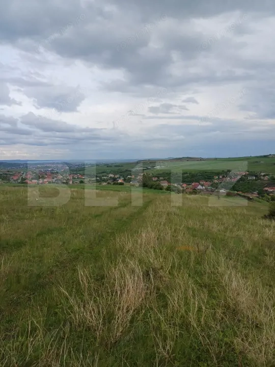 Teren extravilan 1249 mp in Copaceni! Oportunitate investitie!