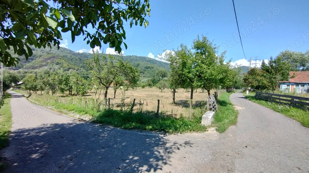 Teren intravilan in Bucova