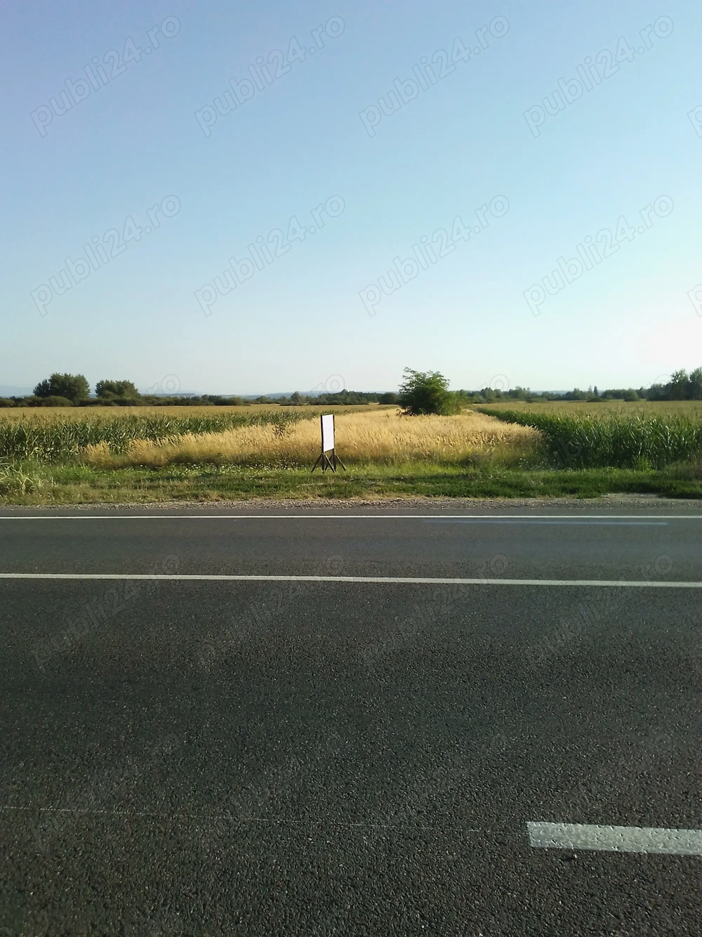 Vând teren extravilan