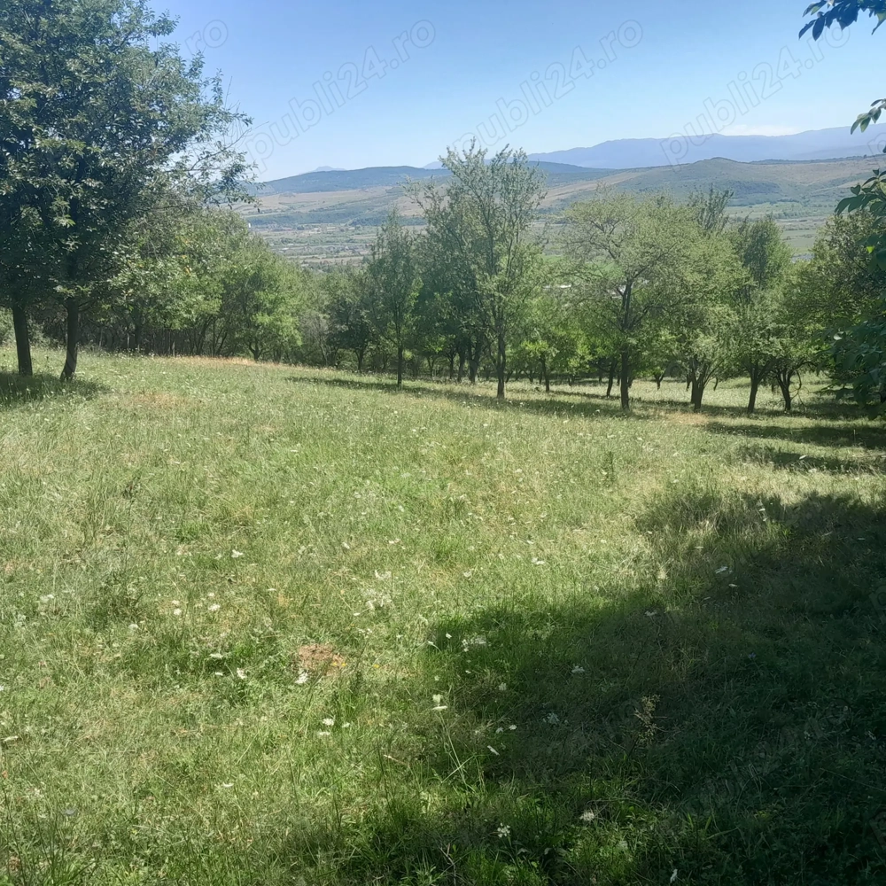 Teren extravilan Viisoara- Baholt