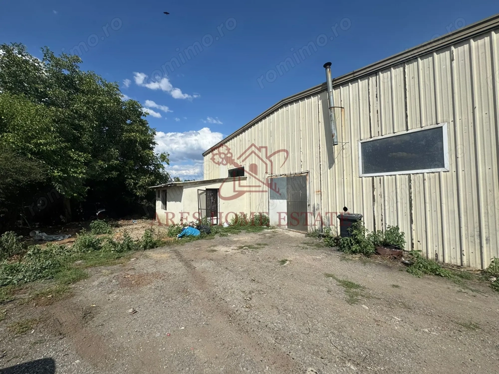 Hală depozit/industrial 228 mp – Moșnița Nouă. Fostele hale Avicola.