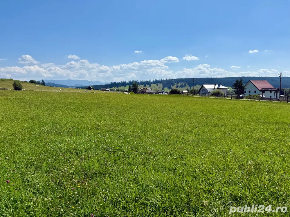 Teren de vânzare - Comuna Cosna