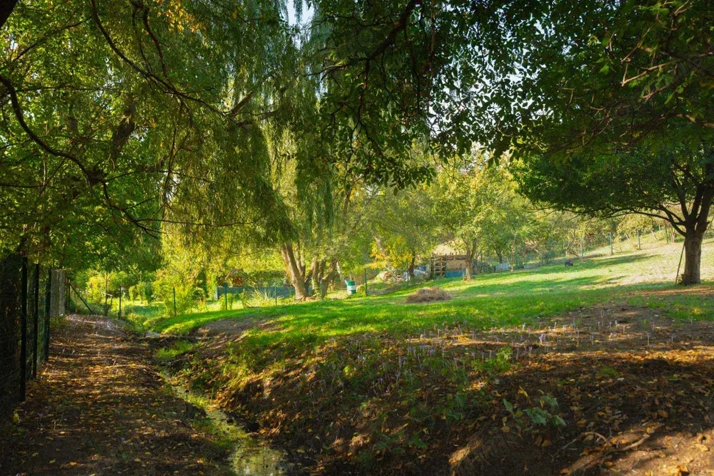 Teren Intravilan 3290 mp Codlea 3 Parcele