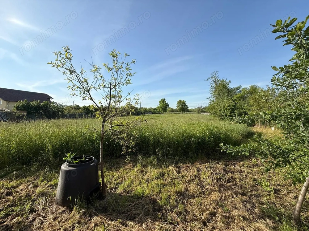 Teren de 3360 mp în exclusivitate, Sânmihaiu Român, vedere la Bega