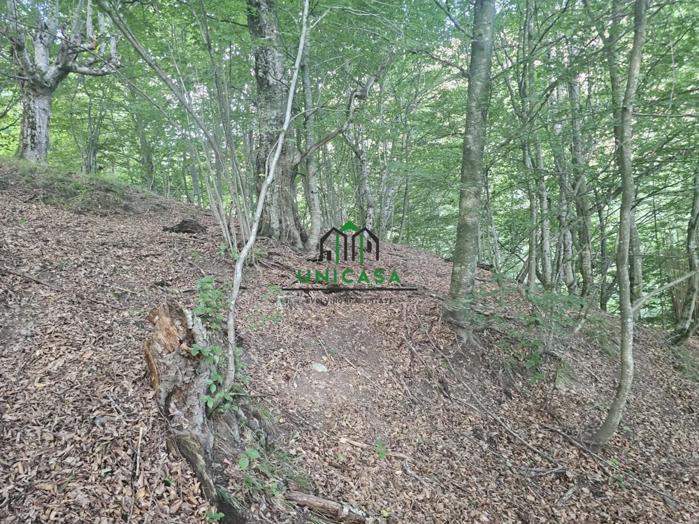 Teren extravilan  cu potential turistic - Brezoi