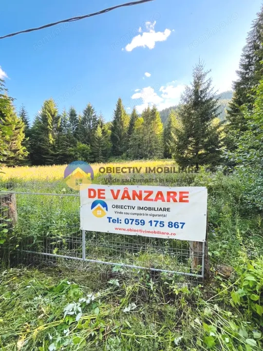 TEREN intravilan  comuna TARCAU - SCHITU