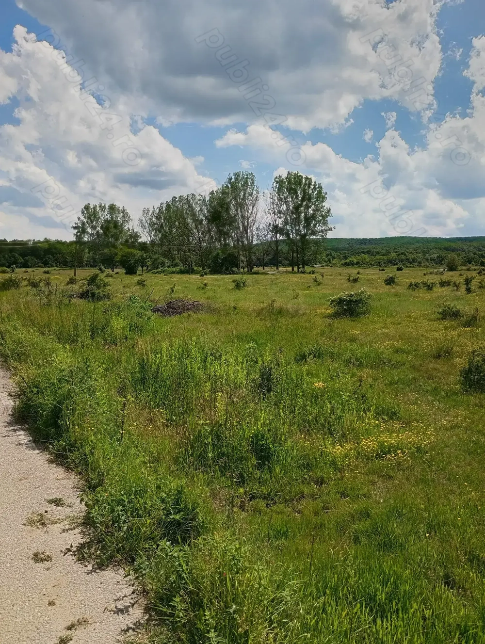 Teren zona liniștită platou Basov 3 km de Bascov 