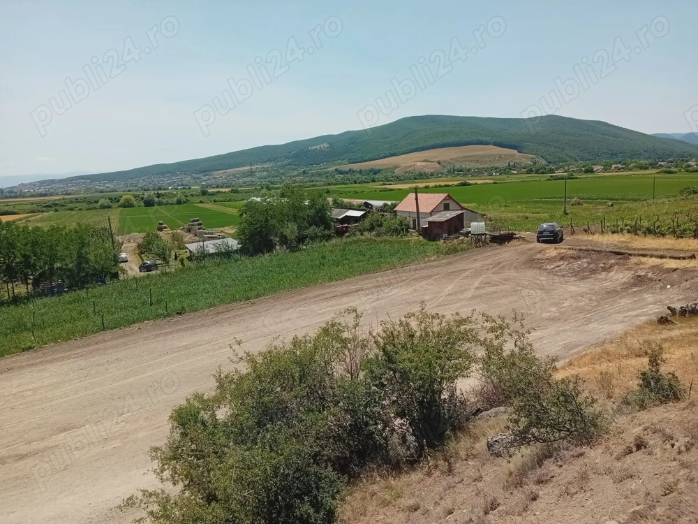 Teren parcelabil de vanzare in Sard