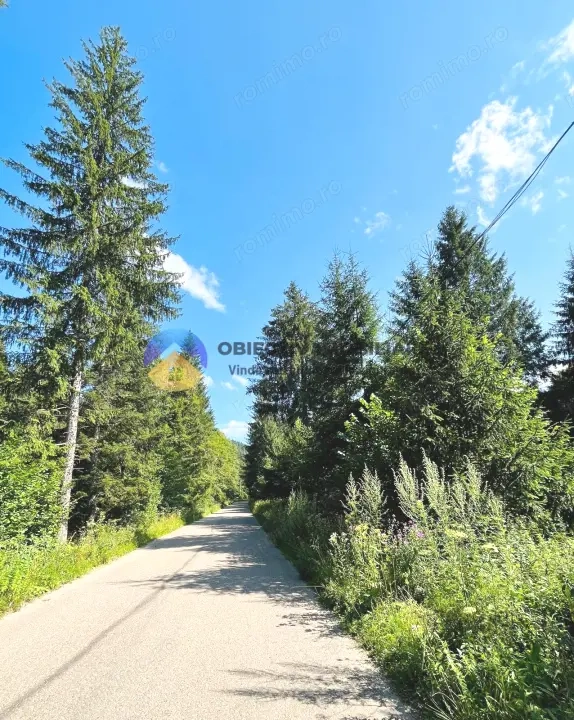 Teren TARCǍU - SCHITU,judetul NEAMȚ