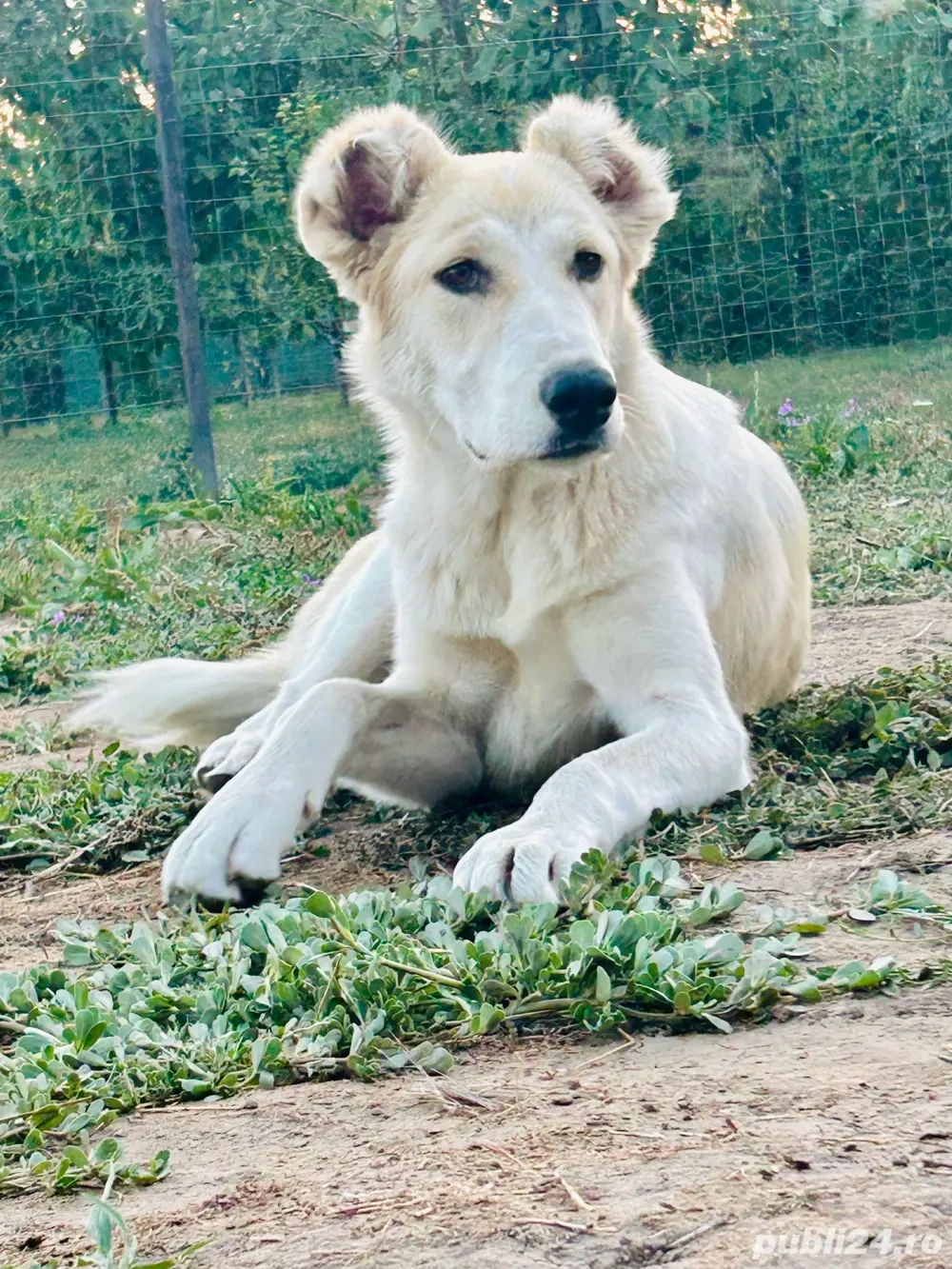 asia centrala  asia centrala