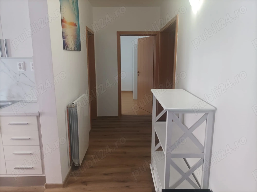  Se inchriaza apartament cu 2 camere Alba Tolstoi 