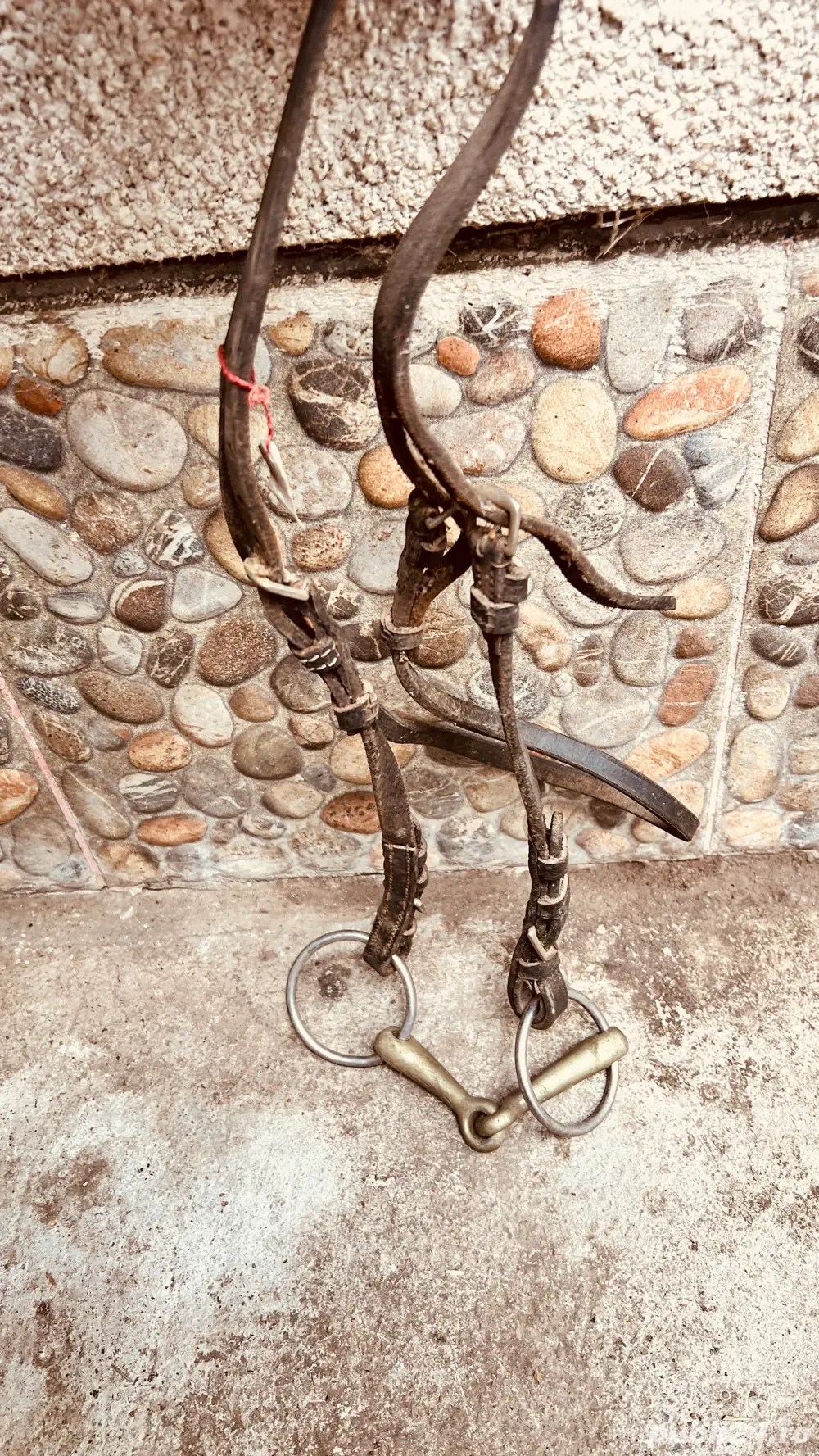 cand capastru de cai cand capastru de cai