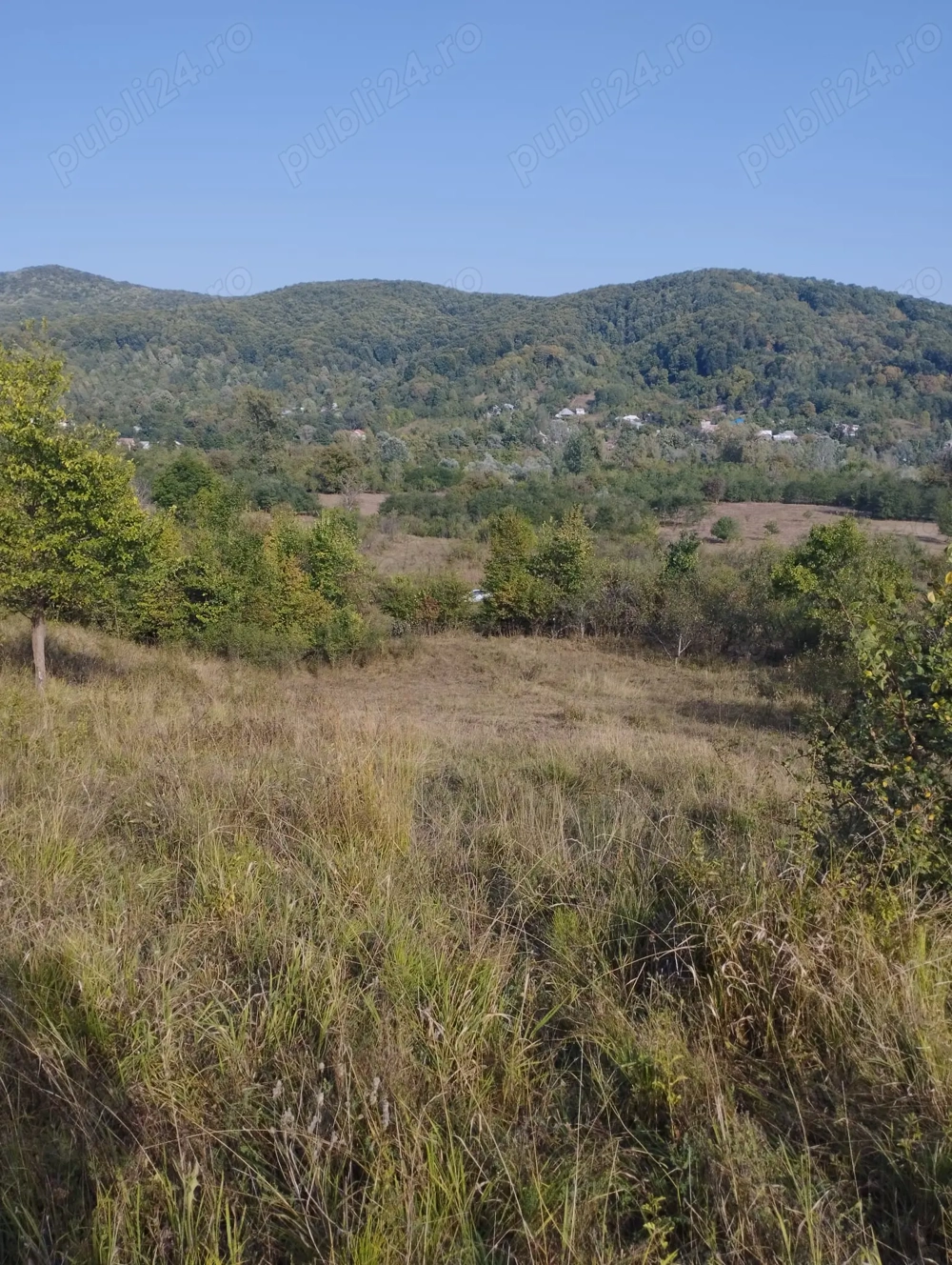 Teren intravilan de vânzare în Colibași, Dâmbovița 