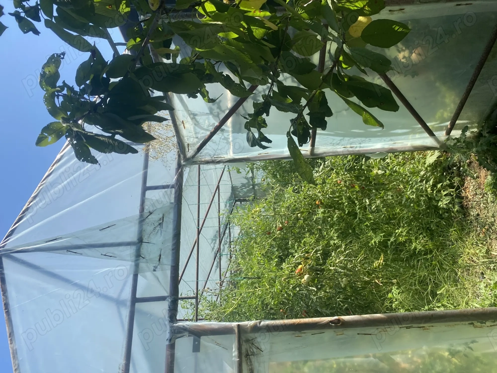 Casă de vânzare!!!