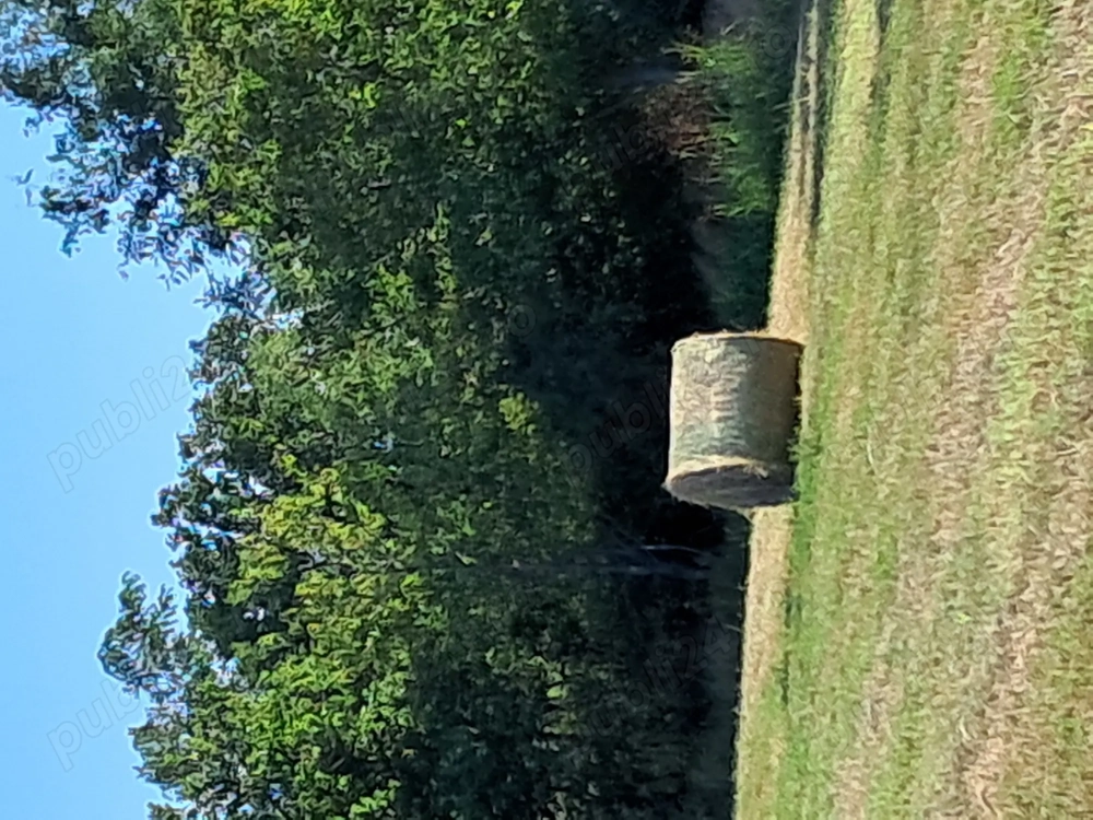 Baloți lucernă  MARi & ROTUNZi 