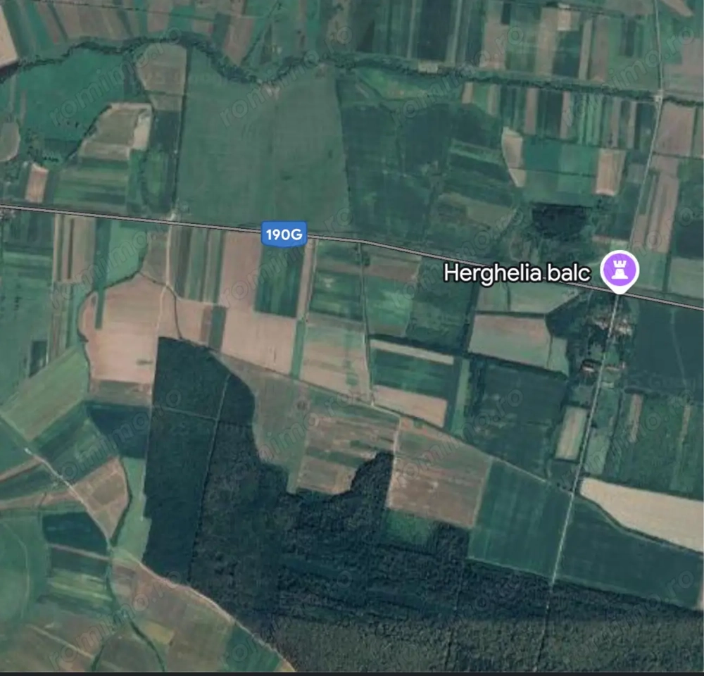 De vanzare 1 ha padure zona herghelia Balc, Bihor