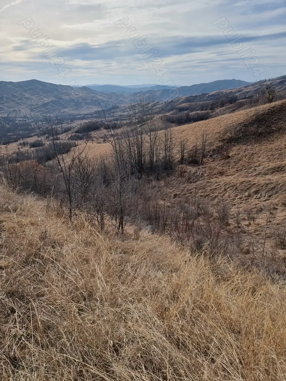 Vând teren în comuna.Vintila Vodă. Sat Câmpulungeanca de jos! 