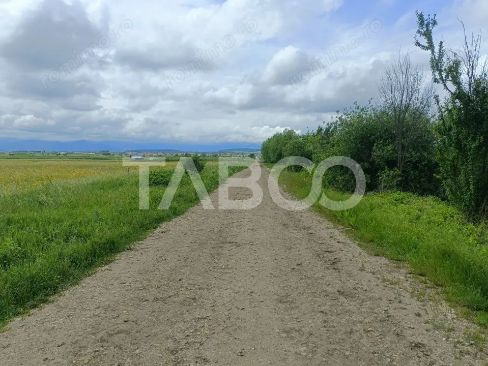 Teren de vanzare in zona Parcului Industrial Sura Mica cu acces camion