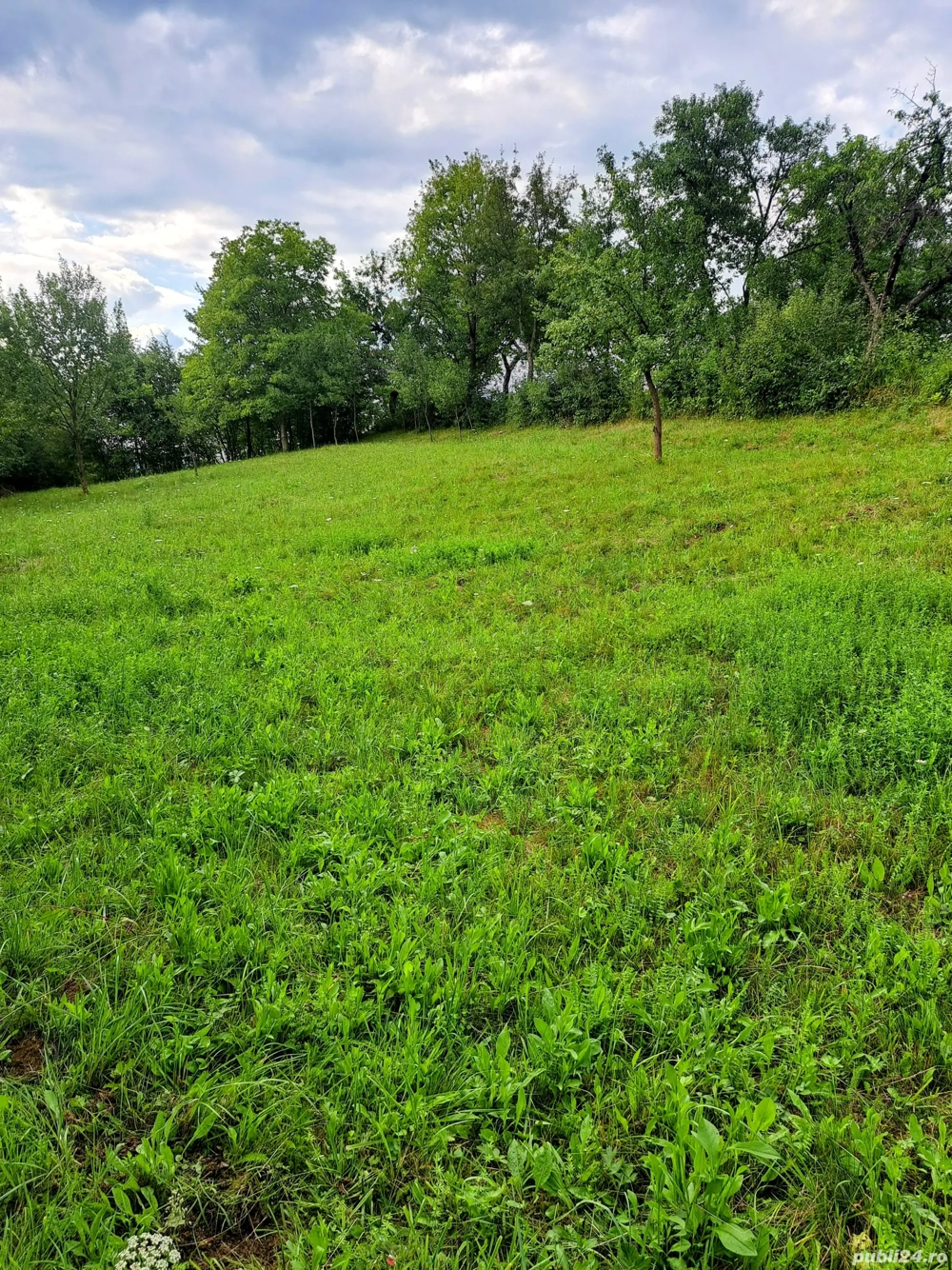 Gradina de vinzare de 200mp intabulata intravilan