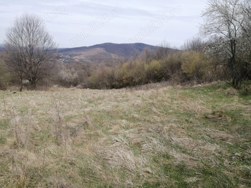 teren extravilan de vinzare resita linga satul doman 