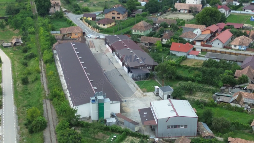 Spațiu industrial de vânzare în Sângeorgiu de Pădure, județul Mureș